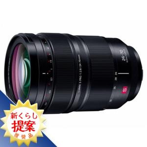 パナソニック S-E2470 レンズ SE2470｜kimuraya-select