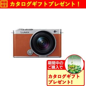 【期間限定ギフトプレゼント】パナソニック DC-S9N-D S9 広角ズームレンズキット ミラーレス一眼カメラ LUMIX キャメルオレンジ｜kimuraya-select