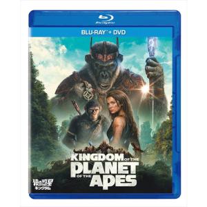 キングダム　Blu-ray 3部作品セット　ブルーレイディスクのみ キングダム Blu-ray 3部作品セット ブルーレイディスクのみ