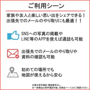 DHA SIM for USA 8GB30日間...の詳細画像4