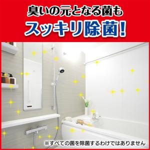 J&J カビキラー 付け替え (400g)の詳細画像5