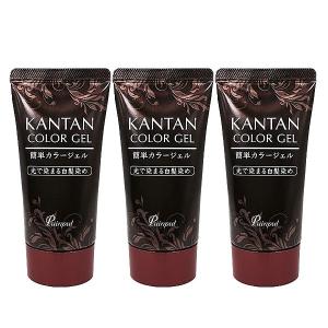 「納期約1〜2週間」《《《》》》プインプル化粧品 簡単カラージェル50g