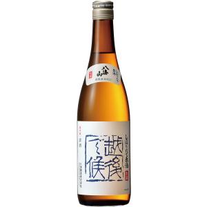 日本酒　八海山　しぼりたて原酒　越後で候　青 　1800ml　新潟県