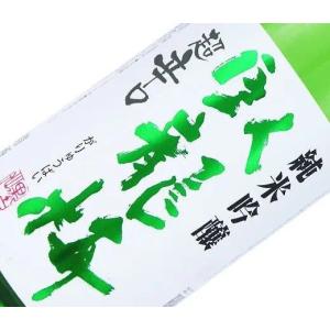 日本酒　臥龍梅　純米吟醸　無濾過生貯原酒　超辛口　720ml　静岡県　