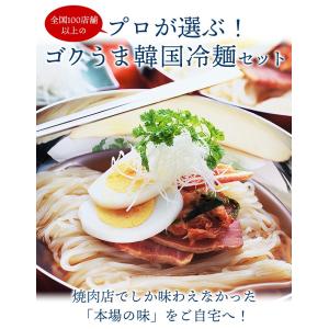 冷麺 韓国冷麺5食セット メール便 送料無料 ...の詳細画像3