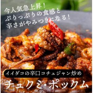 チュクミ ポックム 600g(300g×2袋)...の詳細画像1