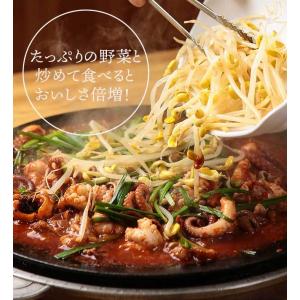 チュクミ ポックム 600g(300g×2袋)...の詳細画像4