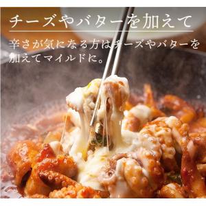 チュクミ ポックム 600g(300g×2袋)...の詳細画像5