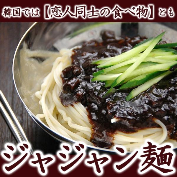 ジャージャー麺 宋家 ジャジャン麺 2食セット 常温便・冷蔵便・冷凍便可 ジャジャン麺 チャジャン麺...