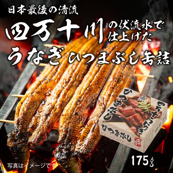 四万十川 うなぎ ひつまぶし 缶詰 175g 常温便・冷蔵便可 ウナギ 鰻 国産 かば焼き 蒲焼き ...