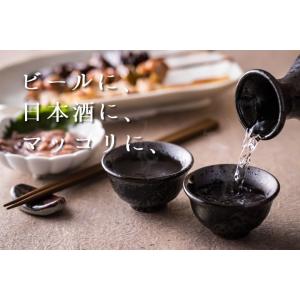 イカの塩辛 青唐辛子入りアオリイカの塩辛 10...の詳細画像4