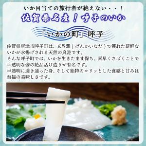 イカ 呼子のイカ 呼子剣先いか姿造り(約100...の詳細画像1
