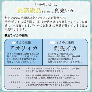 イカ 呼子のイカ 呼子剣先いか姿造り(約100...の詳細画像2