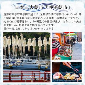 イカ 呼子のイカ 呼子剣先いか姿造り(約100...の詳細画像5