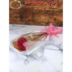 【特典有】卒園 卒業 ヒマワリ カーネーション...の詳細画像4