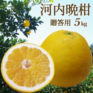 マイヤーレモン 国産 10kg 送料無料 ＜9月下旬頃より順次出荷＞ 減農薬