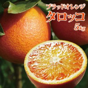 愛媛県産 家庭用 タロッコ ５kg （ブラッドオレンジ）