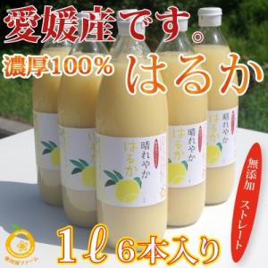 愛媛産ポンカンジュース2本 ストレート果汁1000ml x2本 : きなはいや