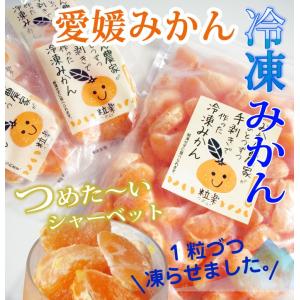 ポイント10倍♪【5営業日以内に発送】愛媛県産...の詳細画像2