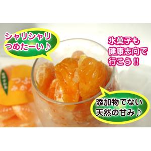 ポイント10倍♪【5営業日以内に発送】愛媛県産...の詳細画像3