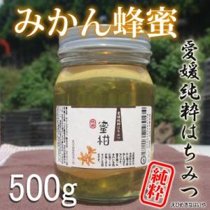 愛媛産 純粋みかん蜂蜜５００ｇ 国産純粋蜂蜜