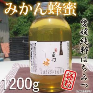 愛媛産 純粋みかん蜂蜜１２００ｇ 国産純粋蜂蜜