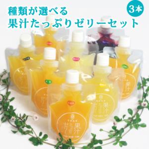みかんゼリー 完売♡ 10FACTORY 愛媛みかんゼリー 170g 愛媛産 1個 無添加 国産 フルーツ