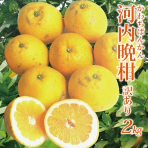 愛媛産 訳あり河内晩柑2kg(かわちばんかん)(サイズM〜4...