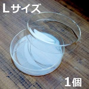 ガラス容器 アロマワックス用 シャーレM【10個】 [日曜祝日 配送休業