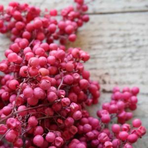 大地農園　ドライパーツ ペッパーベリー・バンチ 全２色