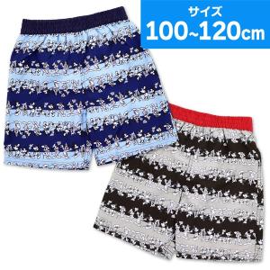 Disney 男児水着の商品一覧 ファッション水着 水泳 スポーツ 通販 Yahoo ショッピング