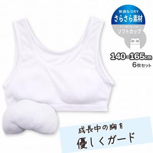 ハーフトップ ジュニア インナー ソフトカップ 挿入カップ付き 女の子 綿100％ 無地 6枚組｜kinazu