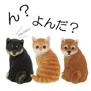 置物 おしゃれ オブジェ 振り向き  犬 イヌ いぬ 猫 ネコ ねこ｜kinchan