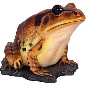 NEIGHBORHOOD（ネイバーフッド） × Fragment Design フラグメント