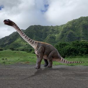 恐竜 オブジェ 首を伸ばすロエトサウルス イン...の詳細画像4