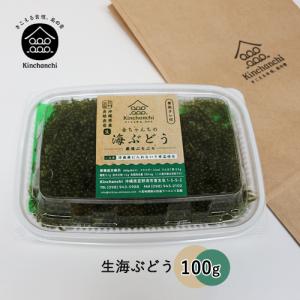 生海ぶどう100g(専用タレ付き)｜kinchanchinoumibudou