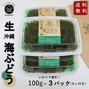 【送料無料】生海ぶどう100g×3パックセット！海ぶどう専門店が目利きで品質と鮮度にこだわった海ぶどうです！｜kinchanchinoumibudou