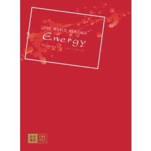 TBS世界遺産 THE WORLD HERITAGE ENERGY DVD｜kind-retail