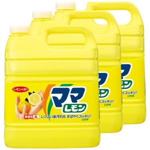 食器洗剤】ライオン チャーミーV 業務用4L : きんだいネットYAHOO支店