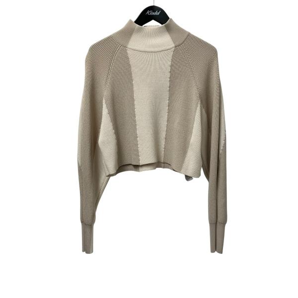 アメリ AMERI WIDE STRIPE KNIT TOP ニット 02220161860 ベージ...