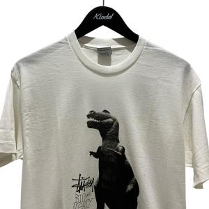 ステューシー stussy 00s 【DINO...の詳細画像2