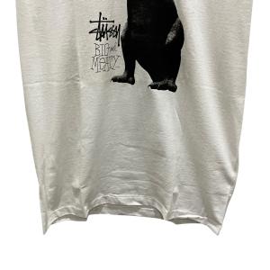ステューシー stussy 00s 【DINO...の詳細画像3
