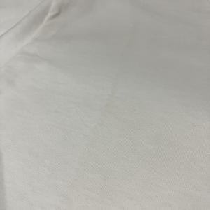 ステューシー stussy 00s 【DINO...の詳細画像5