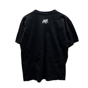 ステューシー stussy 00s 【IRIE...の詳細画像1