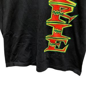 ステューシー stussy 00s 【IRIE...の詳細画像4