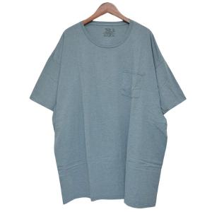 フルーツオブザルーム FRUIT OF THE LOOM クルーネックTシャツ ブルー サイズ：3XL｜kindal