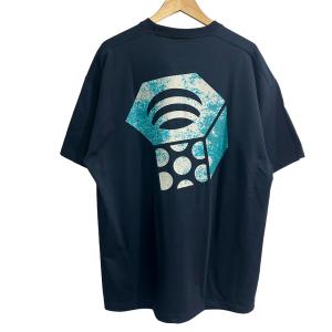 マウンテンハードウェア  ビームス MOUNTAIN HARDWEAR × BEAMS 別注 RUST NUT T-shirt Tシャツ ネイビー サ｜kindal