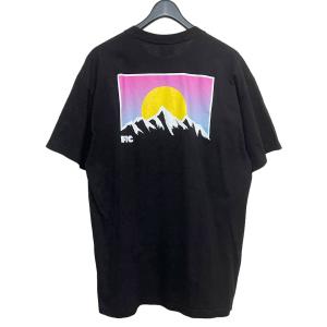 エフティーシー FTC MOUNTAINS TEE プリントTシャツ ブラック サイズ：XL｜kindal