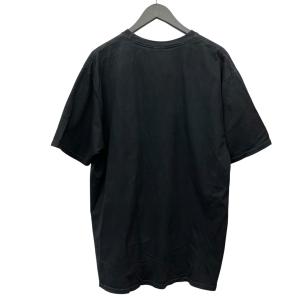 ステューシー stussy S64 Pigme...の詳細画像1