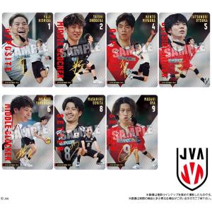 〔BOX〕JAPAN NATIONAL VOL...の詳細画像4